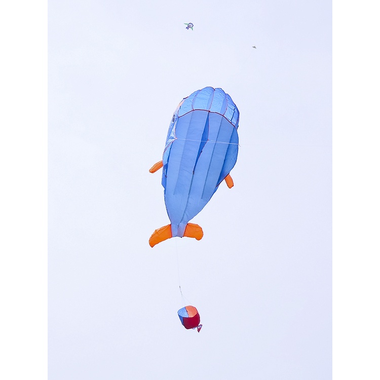 風箏2021大型軟體風箏微風易飛成人兒童3d立體高檔新款海豚軟體風箏風箏美樂兒旗艦店