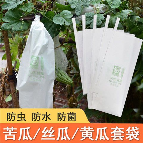 《下殺價》絲瓜黃瓜青瓜苦瓜套袋專用袋防蟲袋子保護套紙袋防水瓜果蔬菜水果 BNLK