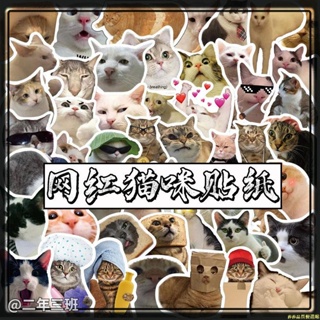 【拼全臺灣最低價格】50張搞笑貓咪表情包貼紙可愛網紅萌寵筆記本手機殼電腦裝飾貼畫