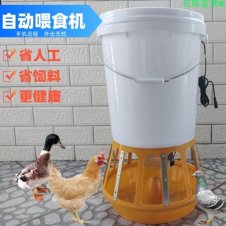 #熱銷#養雞自動喂食器喂雞食槽料桶遠程投料機鴿子飼料定時太陽能一體機