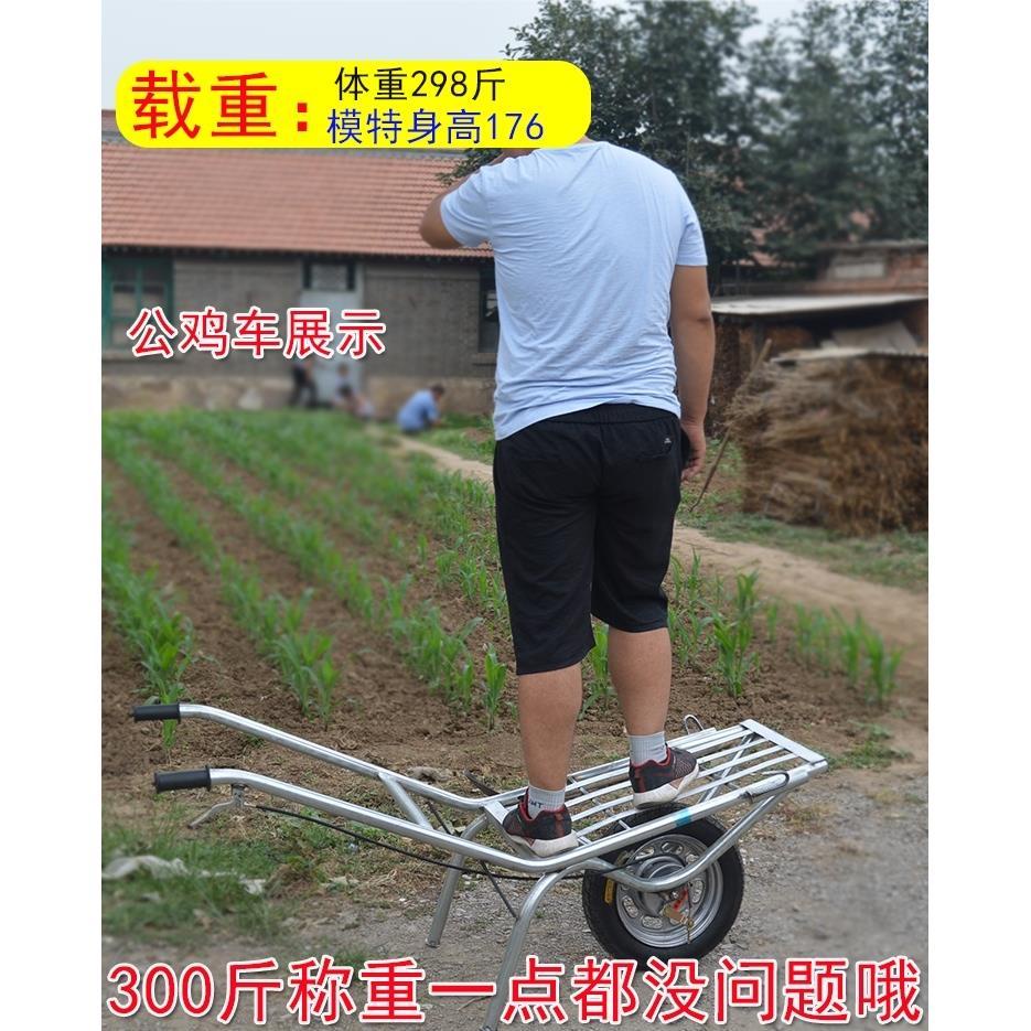 博洋 農用推車 敞斗 農用獨輪車推車 推貨推沙土泥林建筑車小推車 綠水青山進圍誠