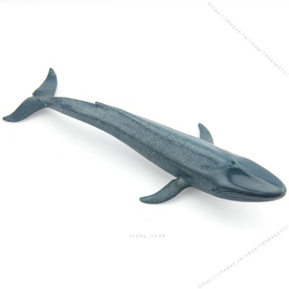 臺灣模具🥕🥕仿真藍鯨 鯨魚 大白鯊海洋動物生物模型軟膠環保兒童玩具展示道具不可食用