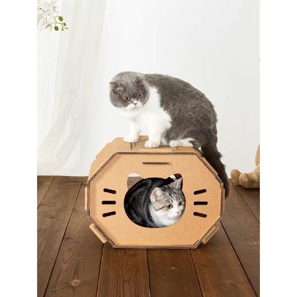【喵星人】貓臉 方艙 DIY紙箱貓屋 含貓抓板