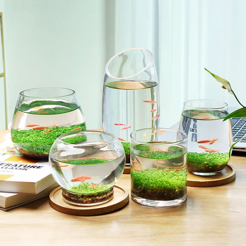 免運/桌面小魚缸/風水擺件/水培微景觀綠植套裝桌面透明創意玻璃瓶造景魚缸擺件生態創意水草