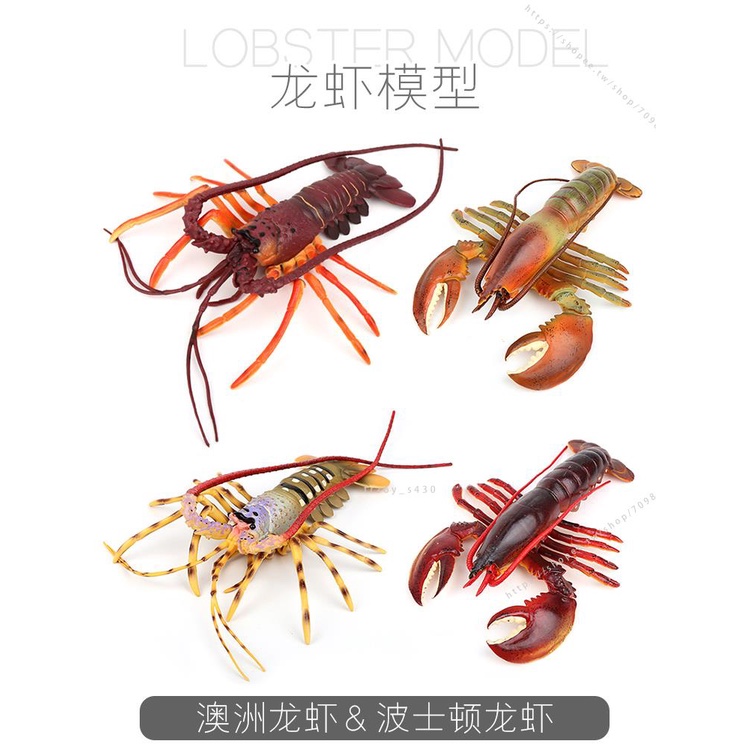 臺灣模具🥕🥕仿真龍蝦模型澳洲大號龍蝦海洋動物生物玩具波士頓大龍蝦道具擺件不可食用