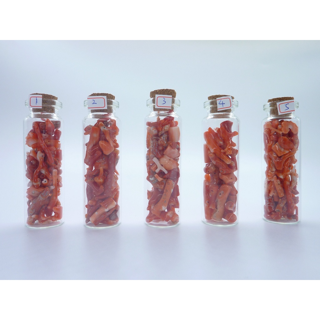 【海洋寶石】 天然紅珊瑚 供佛 珊瑚枝 碎枝 碎料 大瓶 紅色 珊瑚 玻璃罐 擺飾 淨化磁場
