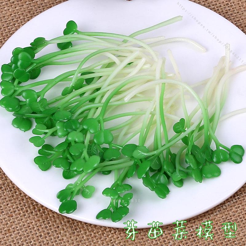 臺灣模具🥕🥕仿真菜苗模型豆芽菜芽苗菜雞毛菜品品種菜品配件搭配拍攝道具玩具不可食用