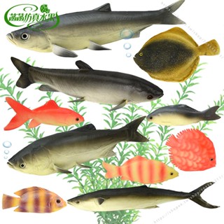 臺灣出貨🥕🥕模擬魚模型假魚秋刀魚多寶魚海洋動物大頭魚草魚攝影裝飾道具大號不可食用