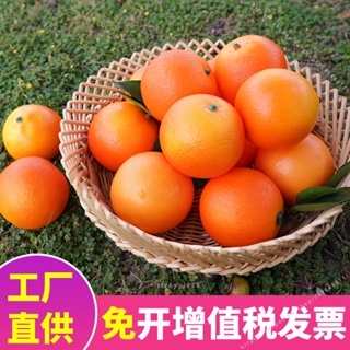 臺灣模具🥕🥕高仿真橙子新奇士臍橙假水果模型擺件櫥柜裝飾道具水果店橘子塑料不可食用