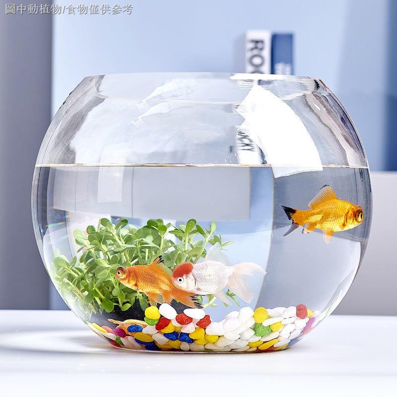 【熱賣促銷】™透明圓缸圓形金魚缸生態創意玻璃魚缸金魚缸水培缸花瓶特價