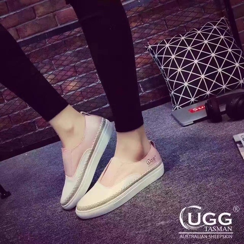 Tasman UGG