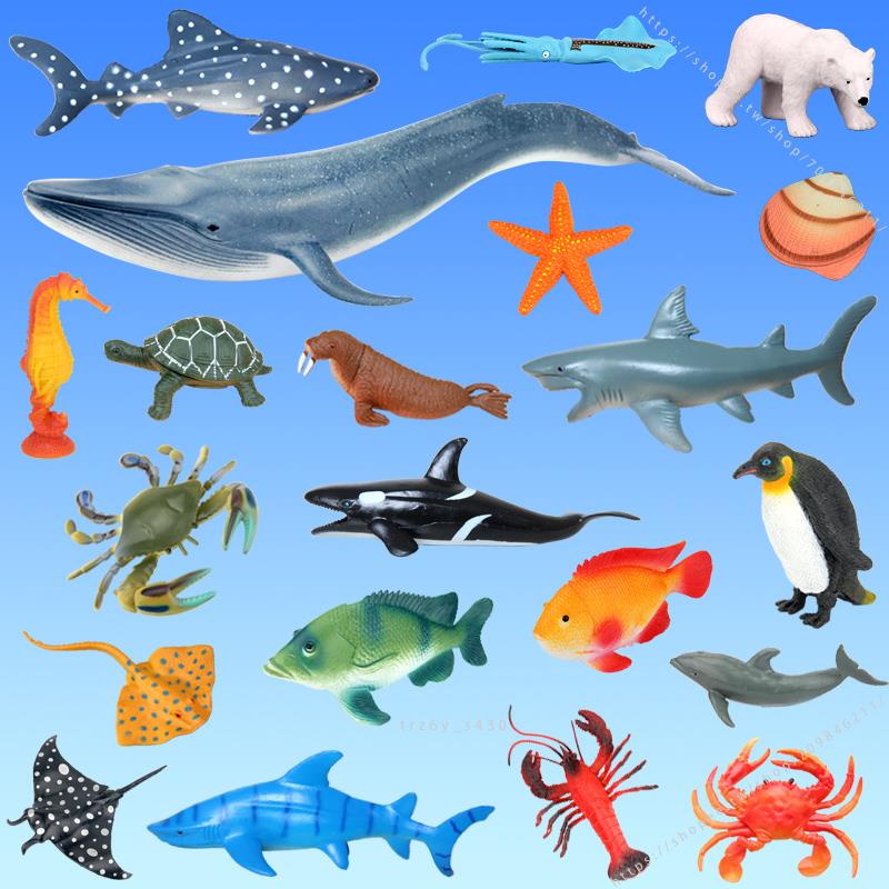 臺灣模具🥕🥕仿真海洋動物模型海底生物世界兒童玩具龍蝦螃蟹章魚鯊魚海星海龜不可食用