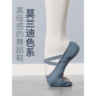 舞蹈鞋 舞蹈練功鞋 莫蘭迪舞蹈女軟底芭蕾跳舞鞋 兒童中國古典練功鞋 成人教師專用舞鞋