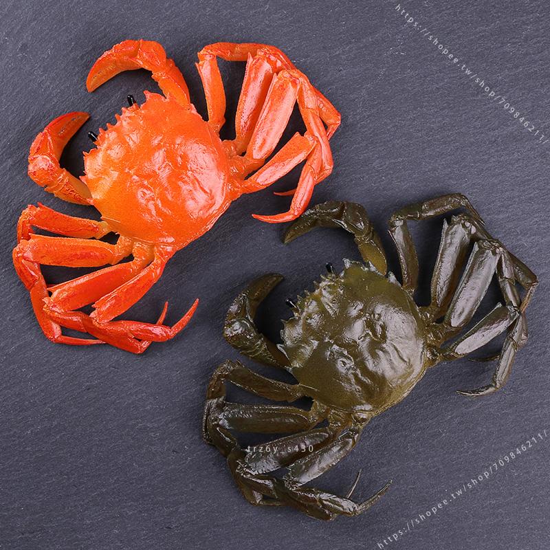 臺灣模具🥕🥕PVC塑膠仿真大閘蟹模型 影視拍攝螃蟹道具 兒童海鮮玩具店面 裝飾不可食用