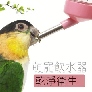 💕💕鳥用飲水器 鸚鵡飲水器 撞針飲水器 鸚鵡水壺 鸚鵡餵水器 鳥用飲水器鸚鵡虎皮玄鳳八哥鷯哥鴿子自動喝水餵水器滾珠水壺用