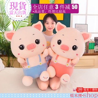 ✨門市熱銷✨公仔 玩偶 娃娃 抱枕 豬娃娃 安撫娃娃 豬抱枕 豬豬娃娃 可愛娃娃 絨毛娃娃 生日禮物 小孩禮物 布偶 布