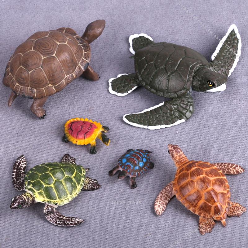 臺灣模具🥕🥕仿真海龜模型玩具陸龜巴西龜海洋生動物道具兒童玩具早教烏龜擺件不可食用