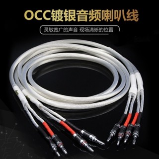 荷蘭進口純銀系列5nocc單晶銀 發燒音響喇叭線hifi音箱線 中置線