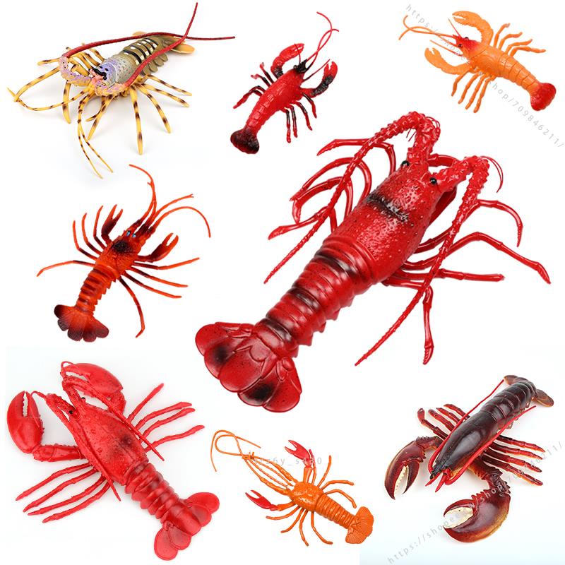 臺灣模具🥕🥕仿真動物海鮮模型塑料大號小波士頓龍蝦螃蟹澳洲海洋早教認知玩具不可食用