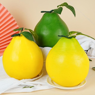 臺灣模具🥕🥕仿真蜜柚假柚子橘子水果蔬菜模型攝影櫥柜裝飾早教道具樣品塑料不可食用