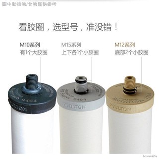 【快速出貨】┅下殺✷﹍英國道爾頓淨水器濾芯M12M15M10KDF2504 5504 9504PF原裝陶瓷UCC