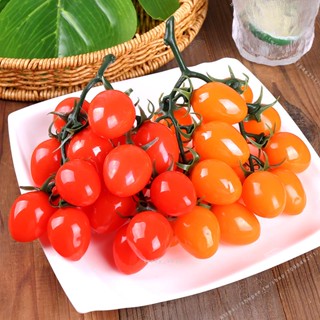 臺灣出貨🥕🥕模擬聖女果串塑膠假水果模型拍攝道具兒童蔬菜小西紅柿番茄串擺件不可食用