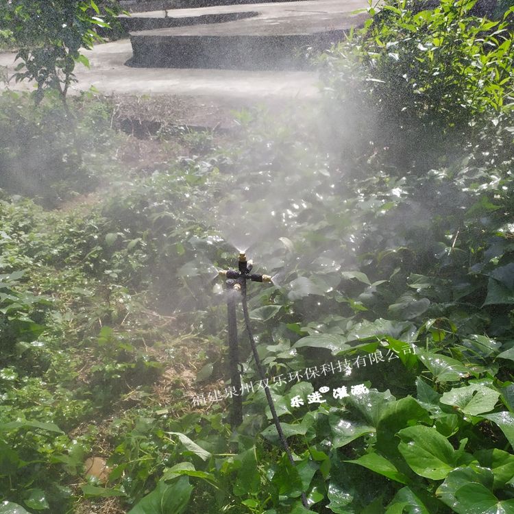 家用菜園澆菜噴頭自動澆水器多出水口噴霧霧化灌溉微噴銅噴頭系統 賣場有其他款式