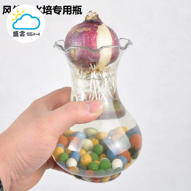 【盛雲】風信子種球水培瓶專用塑料花盆簡約透明加厚小器皿綠蘿富貴竹水養