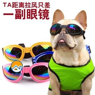 🐱寵幸之家 寵物拍照眼鏡 狗貓防護眼鏡太陽鏡 狗狗墨鏡 小中大狗太陽鏡 時尚裝飾 眼鏡
