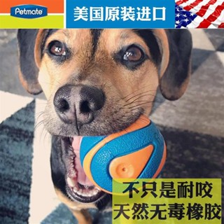 小小寵愛 超級彈力耐咬狗狗玩具 發聲互動訓練球進口 橡膠製造適用於寵物玩耍