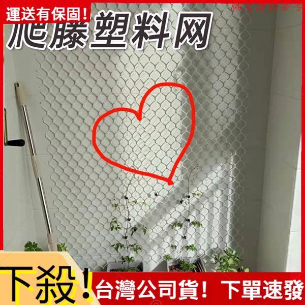 👣拾街👣家用大孔塑膠網 DIY植物爬藤網格 網片段牆 包水管綠植爬藤塑膠網