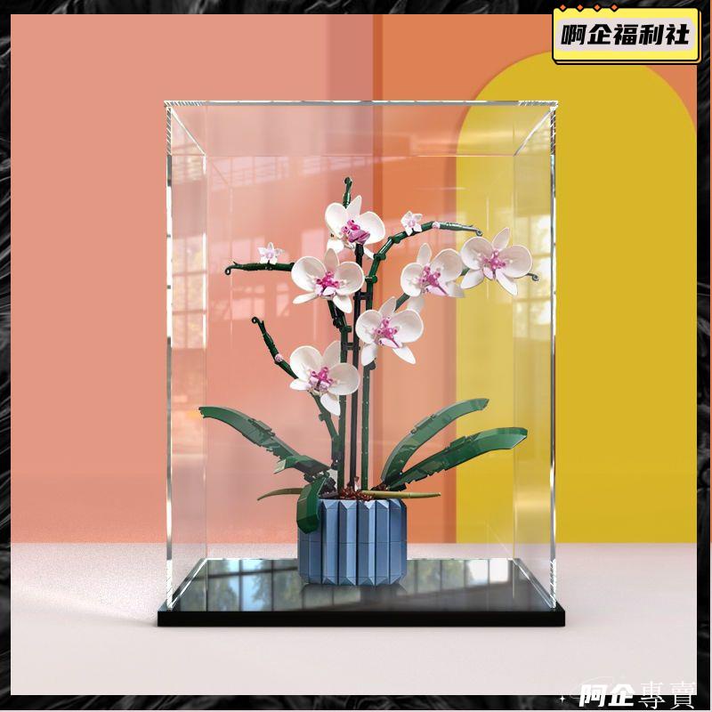 吉田有花 アクリル作品