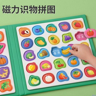 【熱銷免運】幼兒童識字識物磁性進階拼圖寶寶3-6歲早教認字啟蒙磁力拼裝玩具 2023新款益智玩具 早教益智 啟蒙玩具