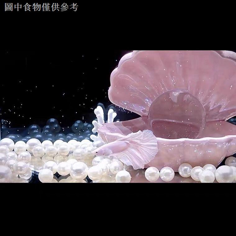 大號貝殼魚缸創意微景觀半月鬥魚海底世界貝殼造景裝飾女生擺件