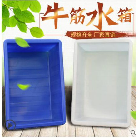 台灣出貨加厚牛筋水箱長方形塑膠水箱水缸大號水桶水產養殖養魚盆圓桶水箱養魚盆