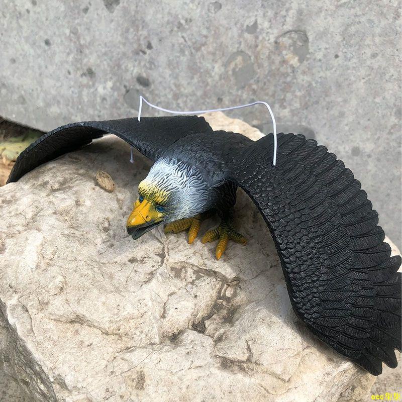 大號 仿真老鷹 模型 塑膠 仿真動物 飛禽玩具 捏捏叫 老鷹 驅鳥