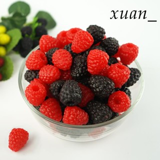 模擬模型 假水果模型 學校教具 假蔬菜模擬樹莓桑葚假樹莓枝桑葚果模擬模型蔬菜擺件模擬水果覆盆子-需滿299出貨