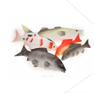 臺灣出貨🍕模擬魚模型假魚金龍魚秋刀魚桂花魚多寶魚大頭魚草魚攝影裝飾道具 不能吃