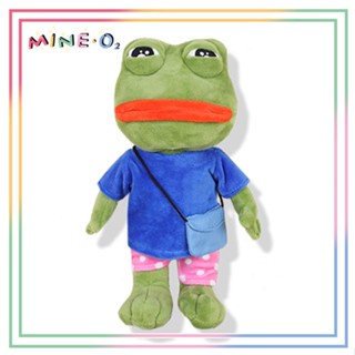 青蛙娃娃 悲傷蛙公仔 學生蛙毛絨公仔玩偶 PEPE THE FROG SAD FROG L1KU
