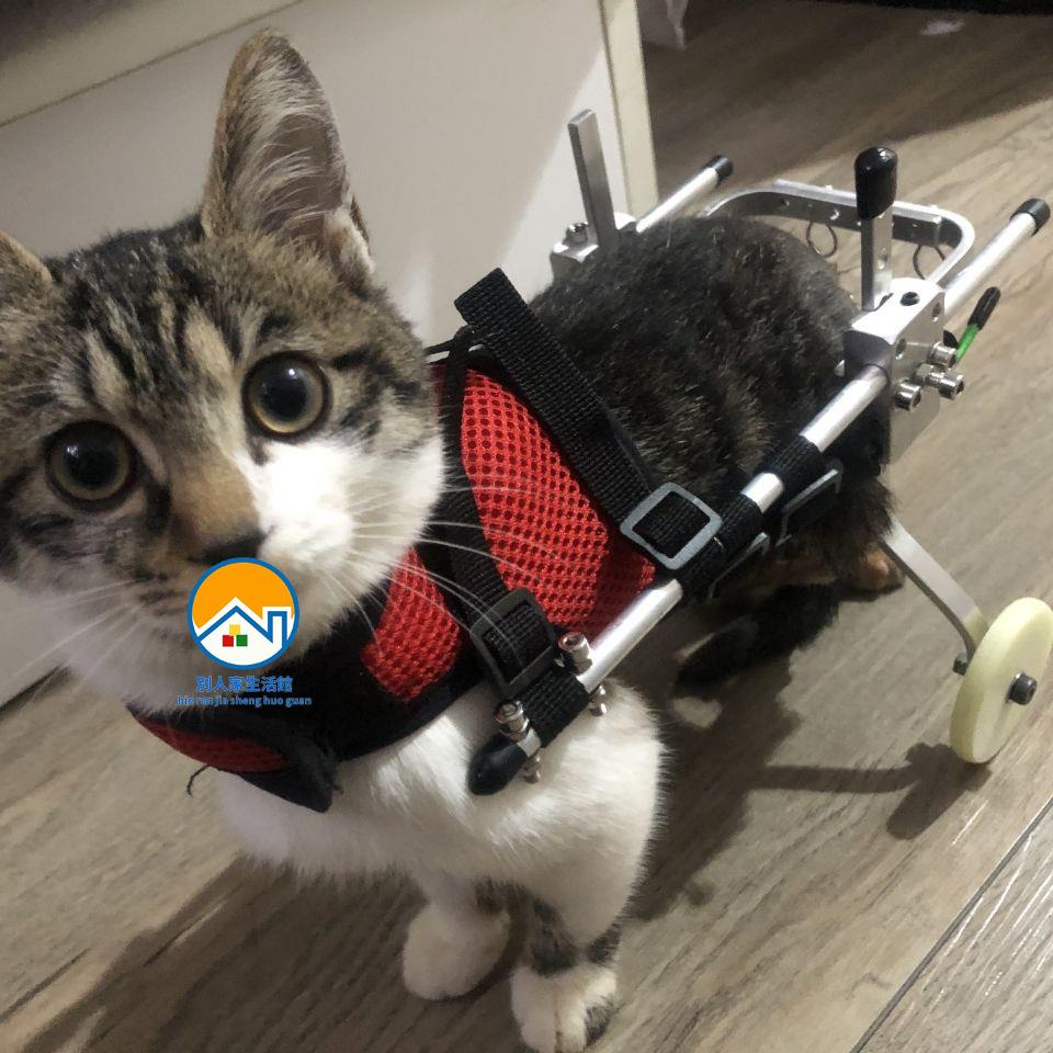 🐱寵幸之家 殘疾寵物貓咪輪椅車寵物後肢殘疾代步車脊椎骨折康復訓練車超輕便可調整輪椅車