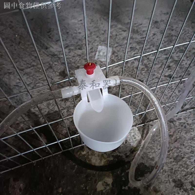 熱賣■✌鵪鶉鴿子雞用飲水碗飲水杯可調整雞用自動碗式飲水器自動雞飲水器