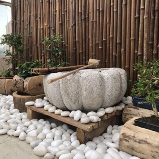 🎉臺灣熱賣🎉園藝裝飾 天然純白色鵝卵石 雨花石 白玉大小石頭 魚缸花盆鋪面室內裝飾風水石 花盆裝飾 精選造景石子