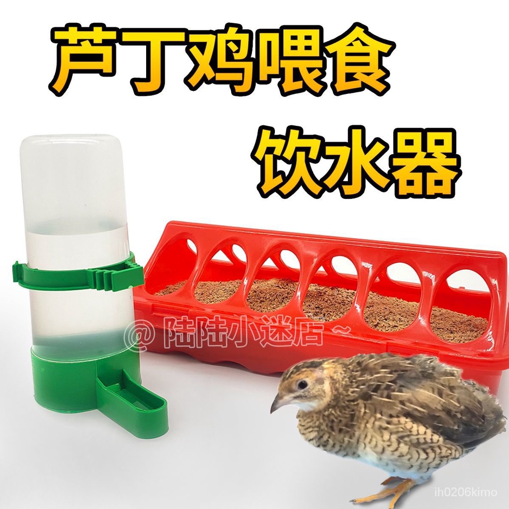 熱銷* 蘆丁鷄自動餵食器 食料槽 鵪鶉小鷄飲水器 水槽 雛鷄飼料盒 下料器神器 小雞餵食器 鵪鶉小鷄下料食槽
