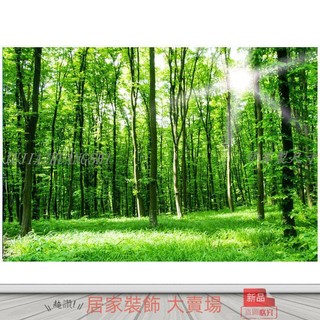 客製化 壁貼 壁畫 自粘 陽光樹林草地森林畫樹木自然風景畫貼紙墻貼自粘裝飾畫保護眼海報