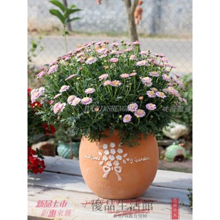 免運 粗陶花盆 歐式庭院花盆 種植盆 創意復古浮雕陶土陶瓷陽臺透氣多肉植物大號簡約花卉綠植紅陶花盆