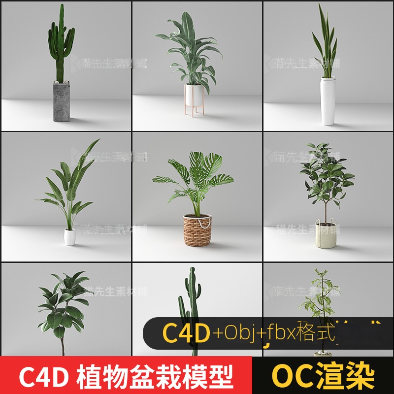 【C4D專區】C4D obj fbx 室內植物盆栽模型oc渲染帶材質貼圖3d花卉裝飾盆栽