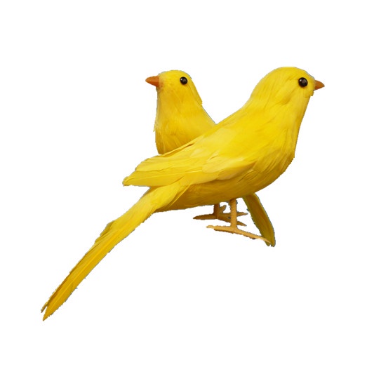 動物模型仿真喜鵲 泡沫羽毛黃玉鳥彩色金絲雀 仿真鳥攝影道具玩具