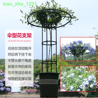 🚚免運🚚現貨℗♗園藝傘形玫瑰爬藤架月季鐵線蓮攀藤蘑菇薔薇花架綠植支架桿戶外