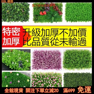 熱銷🍀人造綠植模擬植物牆室內陽臺背景客廳門頭壁掛塑膠草坪室外假草皮