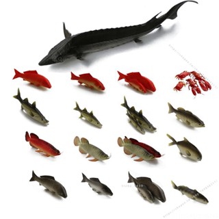 臺灣出貨🍕模擬魚模型假魚紅鯉魚多寶魚淡水魚海魚鯉魚龍蝦螃蟹模型模擬魚擺 不能吃